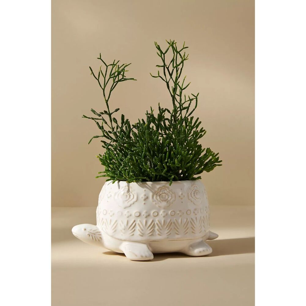 Anthropologie White Ceramic Turtle PlanterEmbossed Succulent Pot Coastal Boho